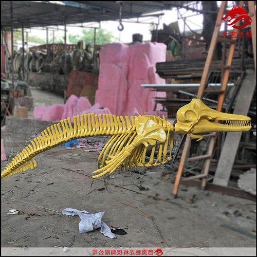 蛇颈龙鱼龙骨架化石仿真恐龙古生物玻璃钢化石树脂动物骨架标本