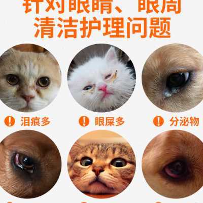 普安特金银花猫咪洗眼液宠物滴眼液去眼屎狗狗泪痕清洁闪晶润洁朗