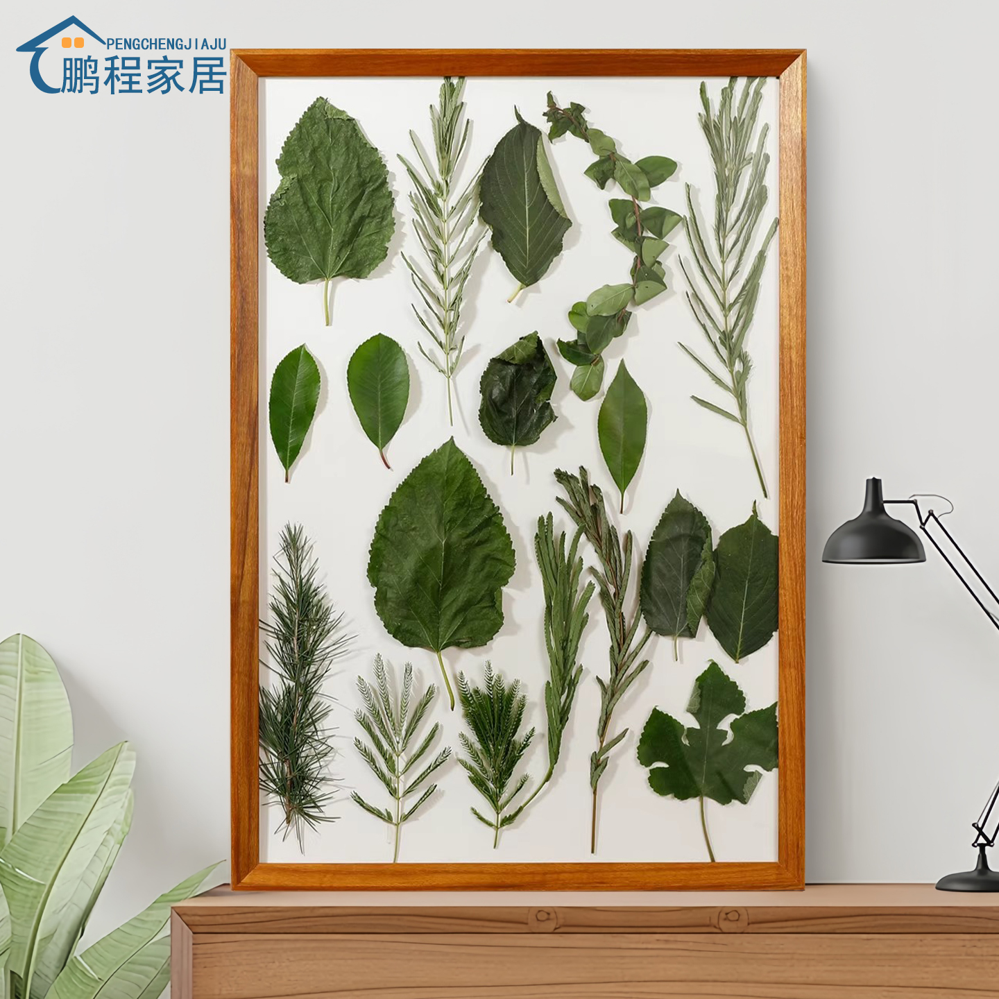 秋天落叶相框手工diy收纳标本收集植物树叶作品画框装饰创意挂墙图片