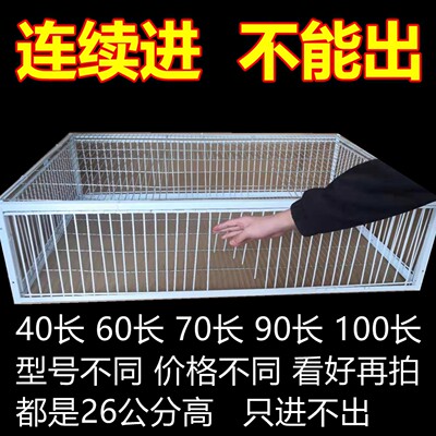 笼大号专用药夹子养鸡窝防大鼠狼陷阱驱赶神器老鼠仙笼子