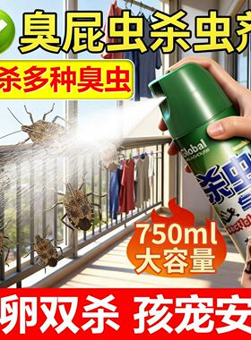 臭屁虫杀虫剂杀臭大姐特效驱赶专用药神器椿象去除室内非无毒灭药