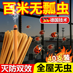 花大姐专用药七星瓢虫杀虫剂克星消灭除防虫室内外非无毒艾草蚊香