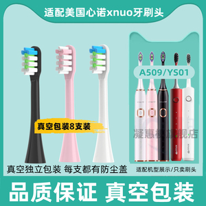 适用美国心诺xnuo电动牙刷刷头A509/AX08/YS01通用替换头清洁声波