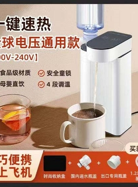 即热式饮水机110V便携式电水壶折壶全球都通用宽电压饮水机叠烧水