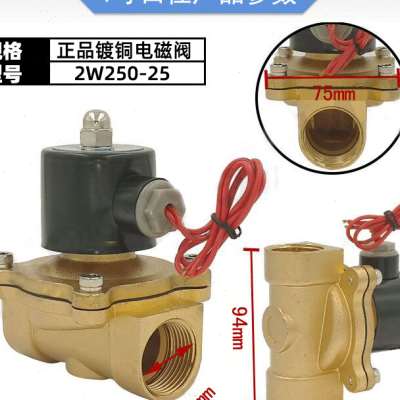 铜线圈全铜1寸电磁阀水阀气阀 2W250-25 1寸口径DC12V 24V AC220V