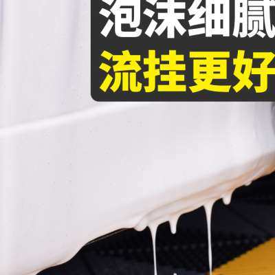 洗车液泡沫喷壶带充气嘴专用手压喷泡沫器手动气压式电动高压pa壶