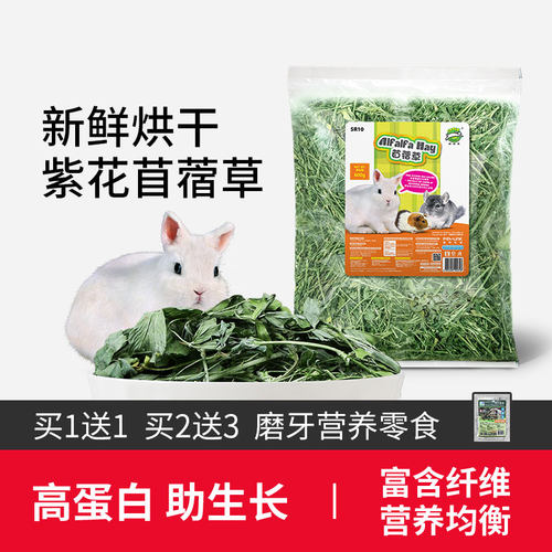 兔草苜蓿草干草干草幼兔粮草全叶