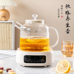 耐热玻璃养生壶家用多功能恒温煮璃茶壶茶壶烧水壶办公室小型纯玻