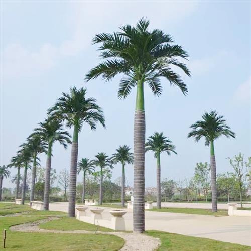 外贸仿真大王椰树棕榈树大型假树海枣树工程酒店假椰子树厂家直销