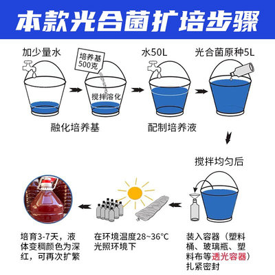 光合细菌菌种原种光合细菌培养基海淡水通用水产养殖降低氨氮亚盐