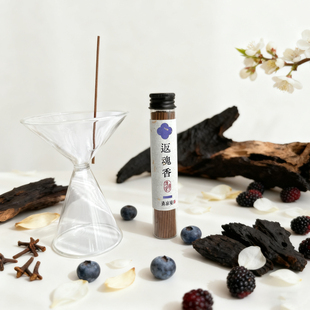 返魂香酸甜莓果味韩魏公浓梅香天然中式线香净化空气清凉境