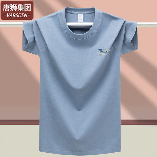 唐狮VARSDEN夏季纯棉短袖T恤男