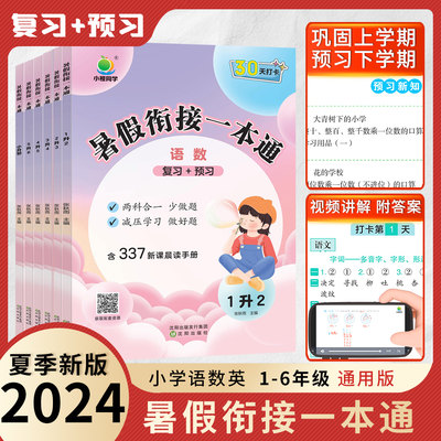 2024新版小橙同学暑假衔接一本通一升二升三升四升五升六小升初下册语文数学英语人教版暑假作业三合一暑假练习复习练习册衔接作业