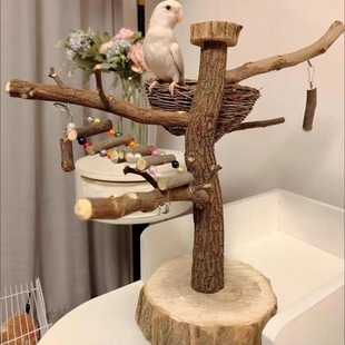 训鸟架原木玄风站杆站台秋千鸟笼鸟用品 鹦鹉站架树枝鸟站架落地式