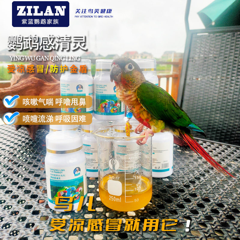 鹦鹉感冒药鸟专用药拉稀气喘咳嗽感冒虎皮玄凤牡丹八哥常用药1瓶