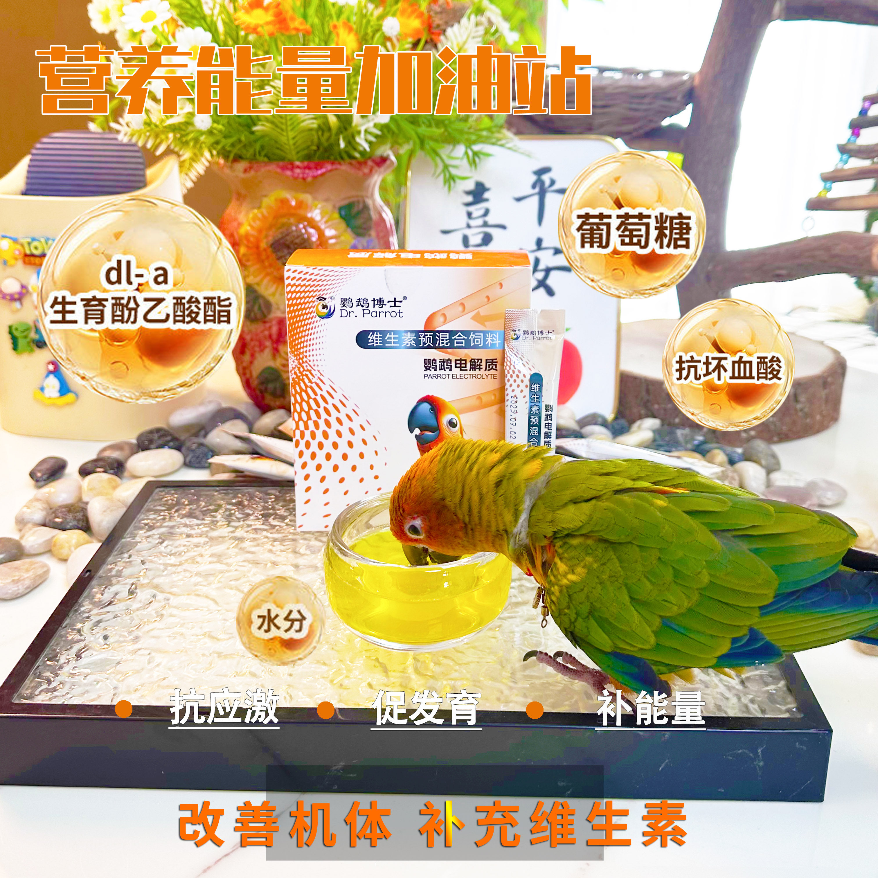 鹦鹉博士鹦鹉营养补充剂鸟用电解质维生素葡萄糖添加剂日常保健品,宠物/宠物食品及用品,鸟食,淘宝优惠券,粉丝福利购,淘宝优惠卷