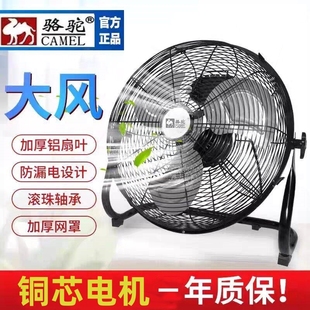 落地工业风扇力工地家用超静音趴地扇强力大风 骆驼工厂电风扇台式