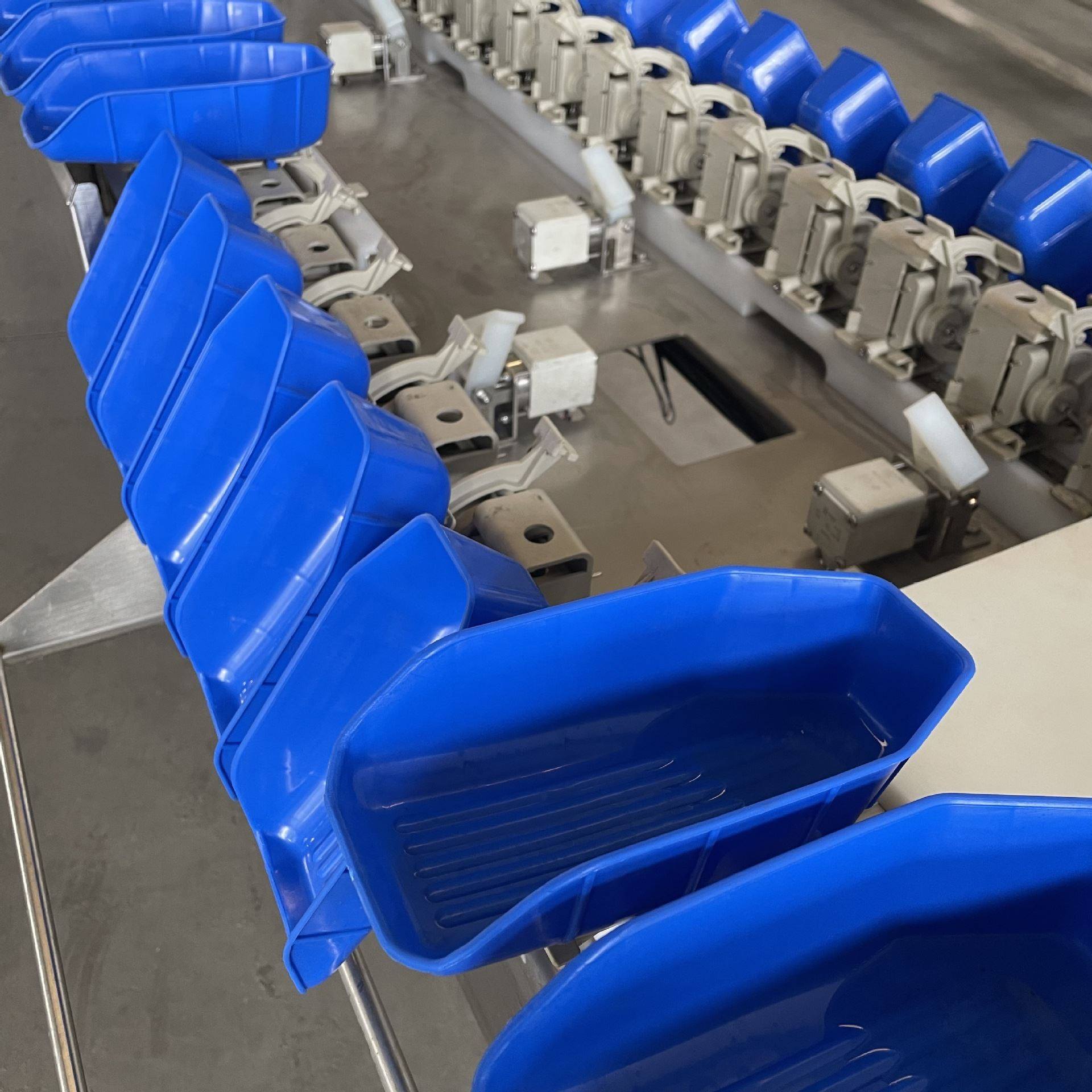 苹果分级选果机 水果自动称重分选机 火龙果规格大小挑选机