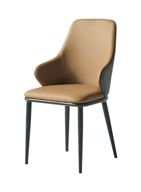 餐椅轻奢椅子简约现代家用靠背椅北欧餐桌椅休闲椅酒店凳子chairs