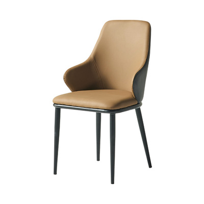 餐椅轻奢椅子简约现代家用靠背椅北欧餐桌椅休闲椅酒店凳子chairs