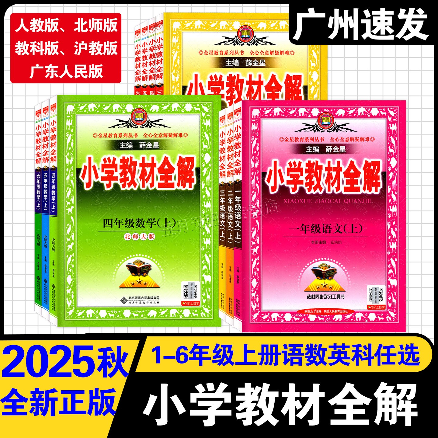 2025秋新版薛金星小学教材全解