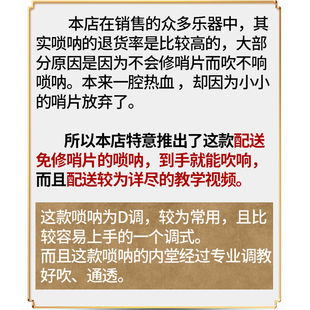 木唢呐乐器全套初学者入门d调演奏锁呐红白喜事唢呐D调唢呐