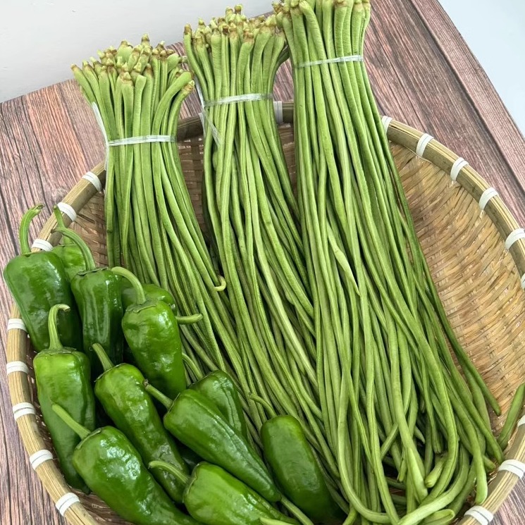 新鲜长豇豆安徽农家露天种植时令蔬菜当季嫩豇豆可腌制新鲜现摘