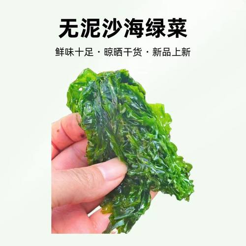 无沙海菜包子专用海菜海绿菜包子