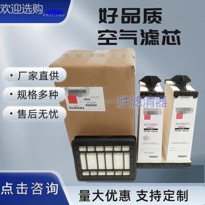 厂家供应AF55021 AF55312蜂窝空气滤芯55021/55312空滤