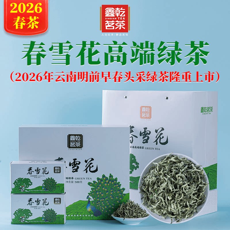 鑫乾茶厂鲜嫩【云南高山云雾高级绿茶】春雪花鲜爽甘甜豆香板栗香