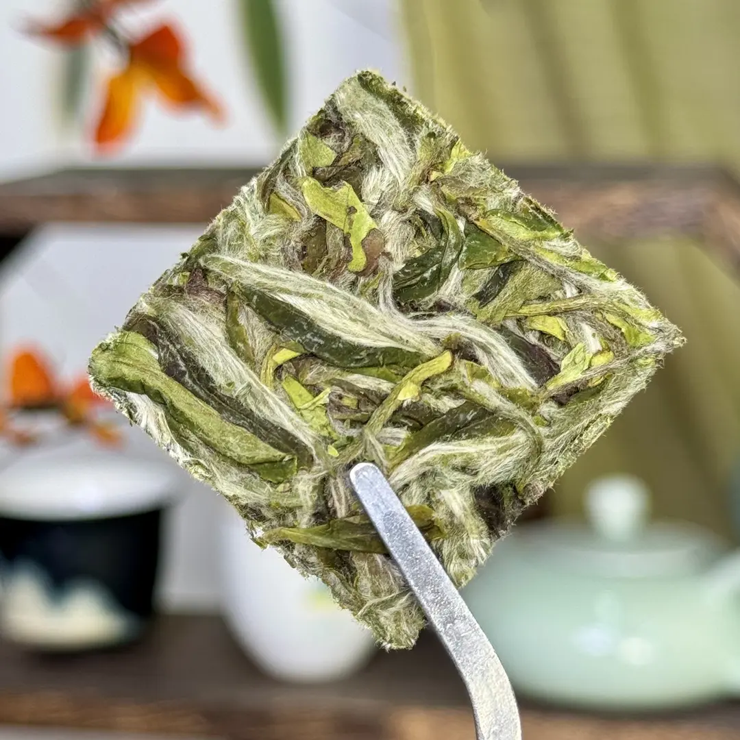 茶掌柜大民2025福鼎头春头采高山荒野一芽一叶白牡丹独立装茶大民