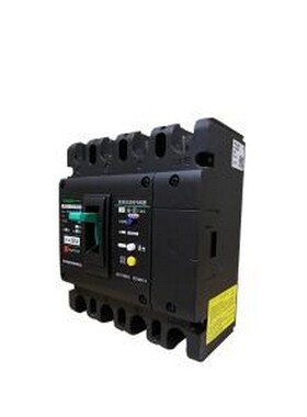 TGM1NL-400L/4300B 400A 100/300/500mA 漏电断路器 TENGEN(天正