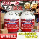 强效驱鼠膏家用室内厨房植物精油驱鼠凝胶灭鼠神器 美国技术