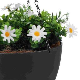 Basket Flower Plants Set Indoor For Hanging Baskets Pot