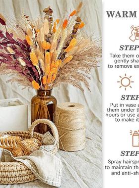 Natural Plant Dried Pampas Grass Bouquet Boho Reed Dried Flo