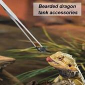 Tip Terrarium Reptile Rubber Feeding Tongs Bearded Dragon