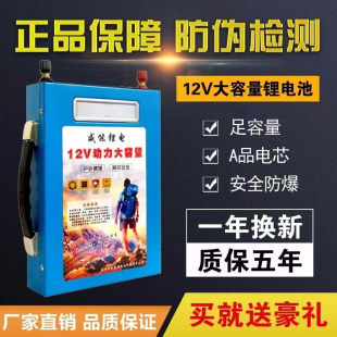 锂电池12v大容量大功率100安220ah动力聚合物电瓶推进器