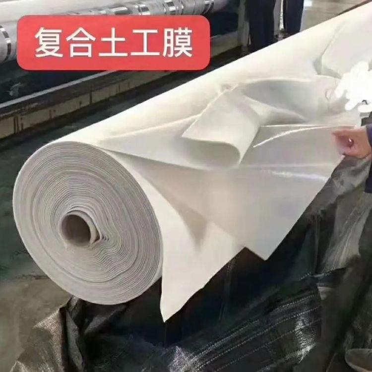 两布一膜复合土工膜 300g 600g一模一布防渗土工布