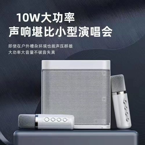 YS203K歌蓝牙音响双麦克风户外