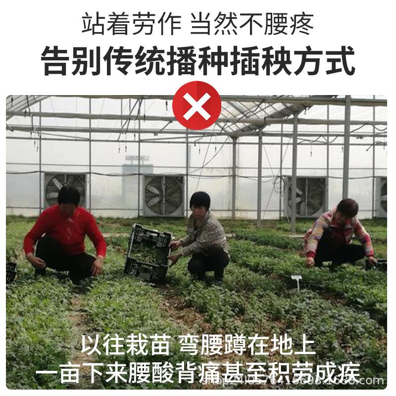 苗器种苗器移苗器种植栽器播种种器DWT栽苗神器苗器栽载辣椒苗机