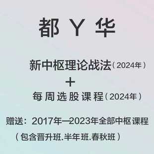 都Y华 2024年都业视频包DYH中枢理论战法更新送