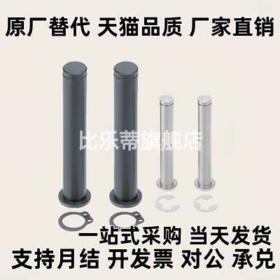 铰链销CCG CCGH SHCCG SHCDG SHCCGH3 4 5 6 8 10-10 15 20 25 30