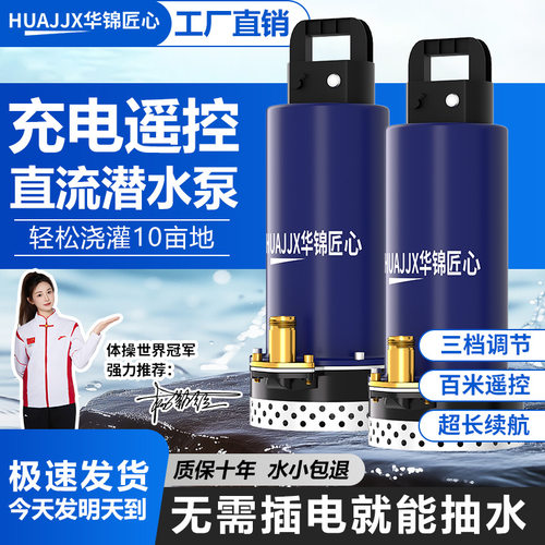无线遥控农用锂电池充电式抽水泵