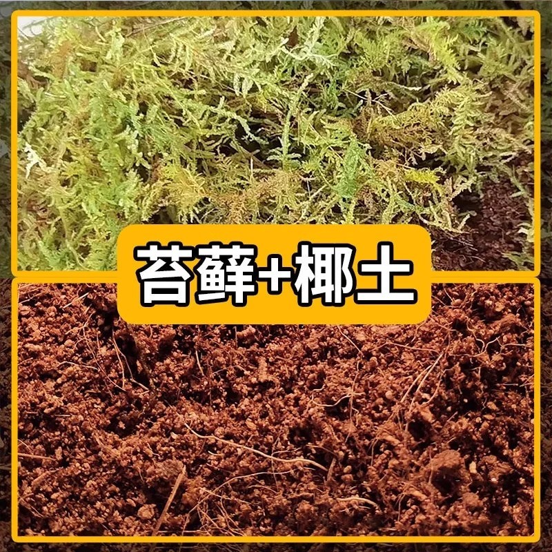 寄居蟹乌龟冬眠专用椰土