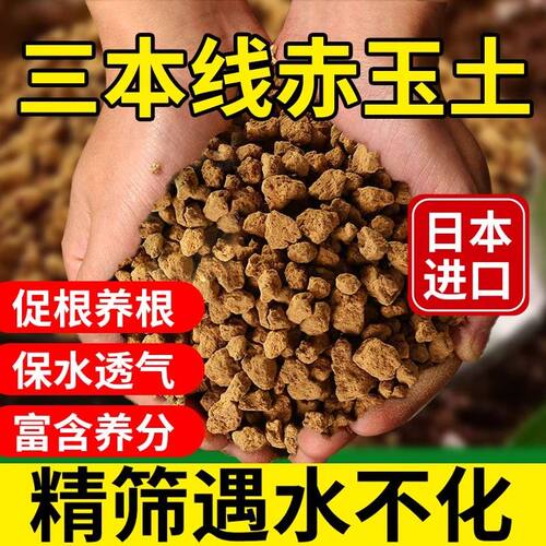 微景观专用土生态瓶造景diy材料