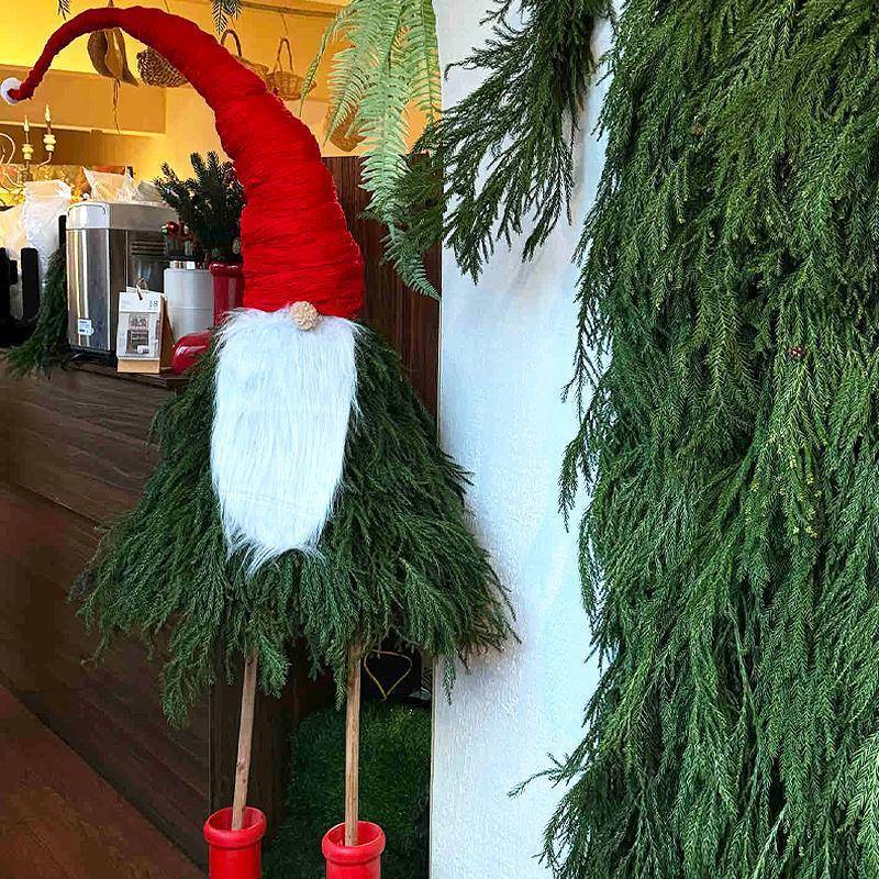 圣诞树树枝原材料天竺少女松