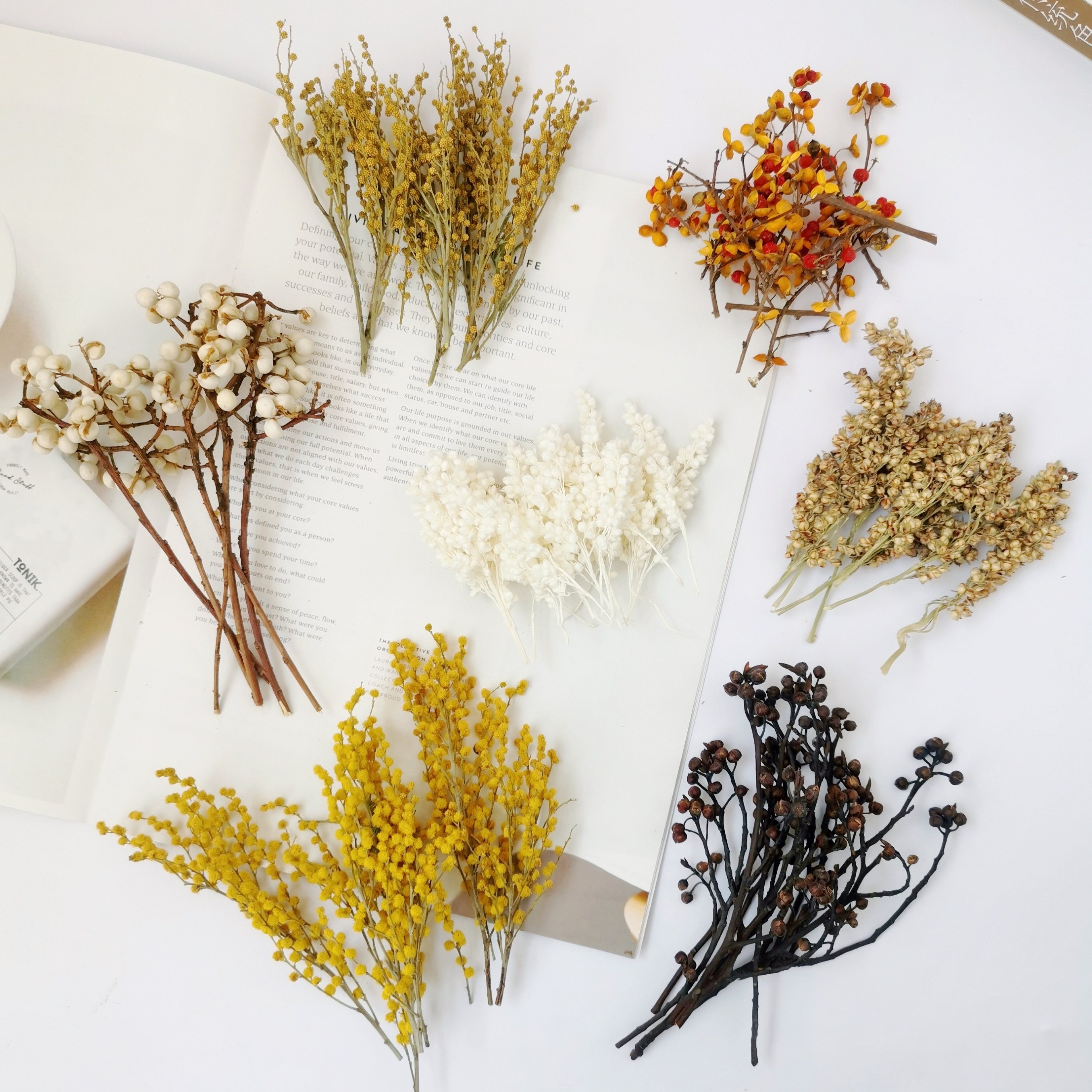 【小枝植物素材】天然干花永生花果实高粱白果南蛇藤灯台果圣诞花