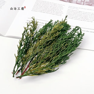 【松柏针】天然植物diy龙柏松叶永生干花香薰蜡烛干花装饰圣诞树