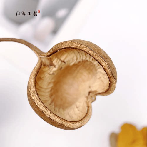 天然植物开口笑干燥花果壳干花原生缸装饰材料桌面摆件南美缸造景