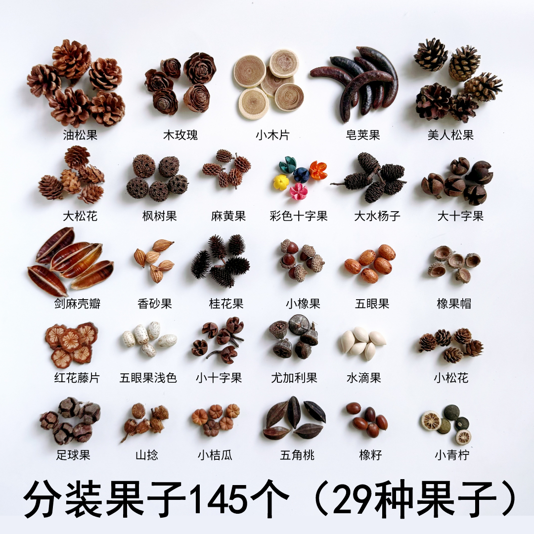天然果实橡果松果幼儿园环创材料包拍摄道具手工diy果子29种145个